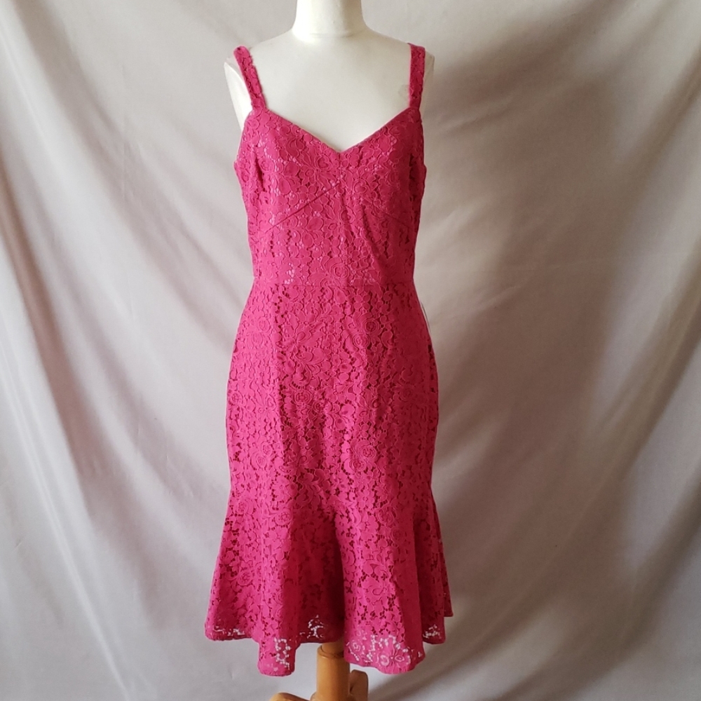 New Chelsea28 Lace Fit and Flare Dress